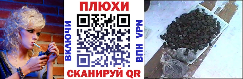 ГАШИШ Premium  Купить где  Нововоронеж 