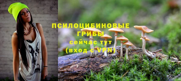 дживик Арсеньев