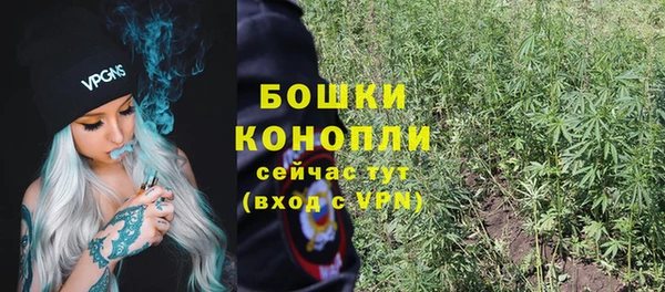 дживик Арсеньев