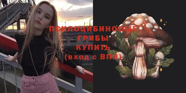 дживик Арсеньев