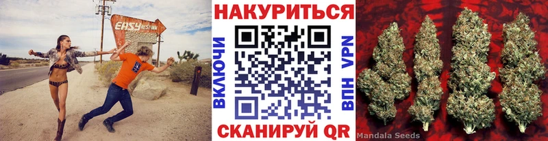 Конопля ГИДРОПОН  Купить где  Нововоронеж 